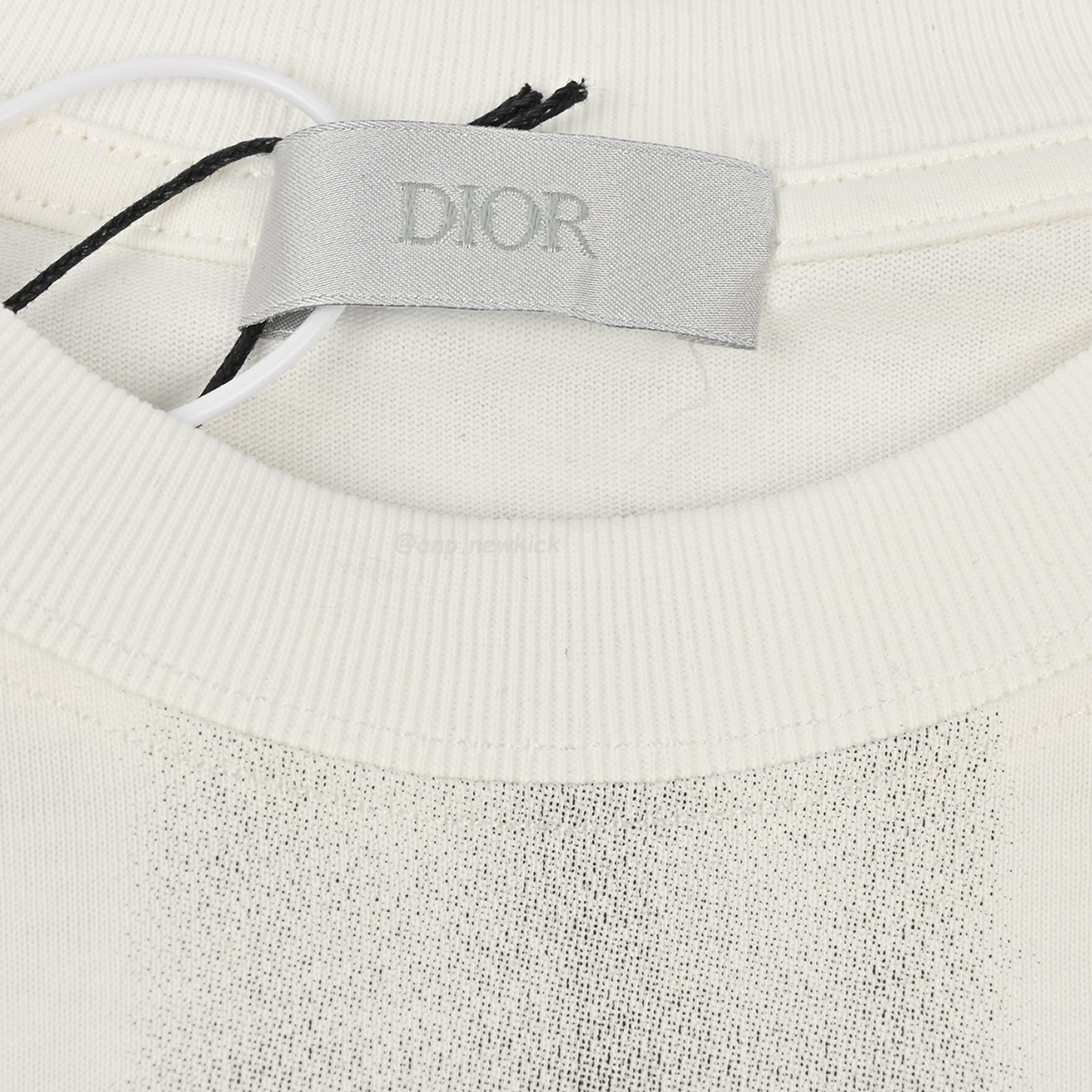 Dior Iron Tower Inkjet Short Sleeved T Shirt (7) - www.newkick.vip